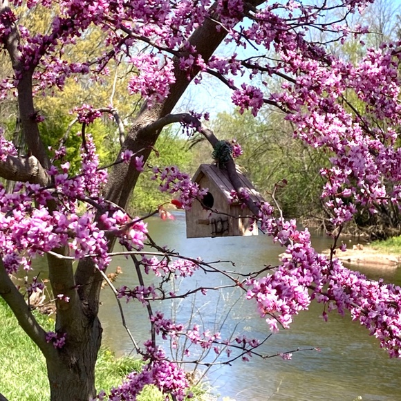 Meet your Posher, Susan - Picture 11 of 15